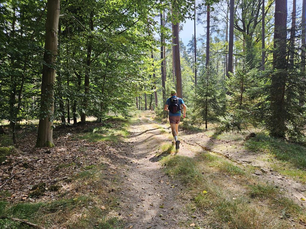 Rabaukentrail Fichtelgebirge - Foto: laufSinn