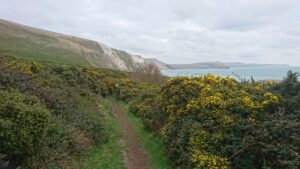 Dorset 2019 Jurassic Coast Run - Foto: laufSinn