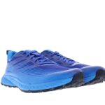 blau TFS