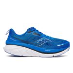 Blau Guide18