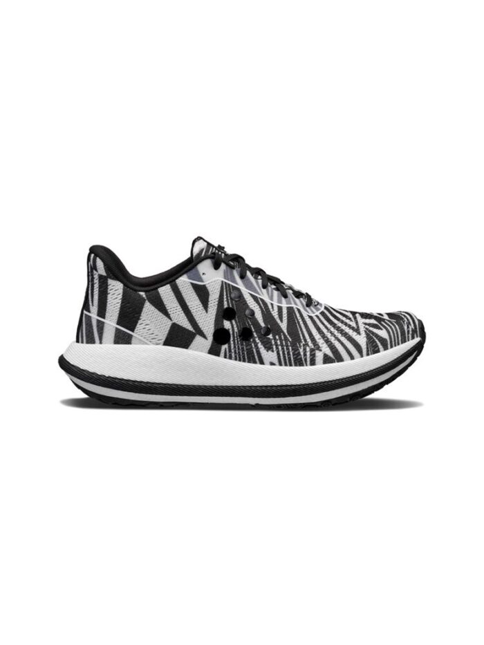 Craft Pacer 2