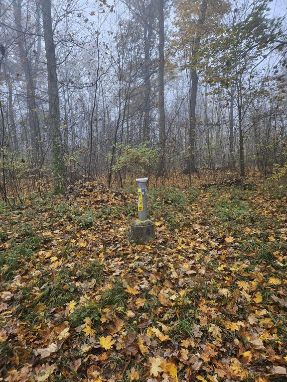 2025 10 11 Auwald Quest (11) (Copy)