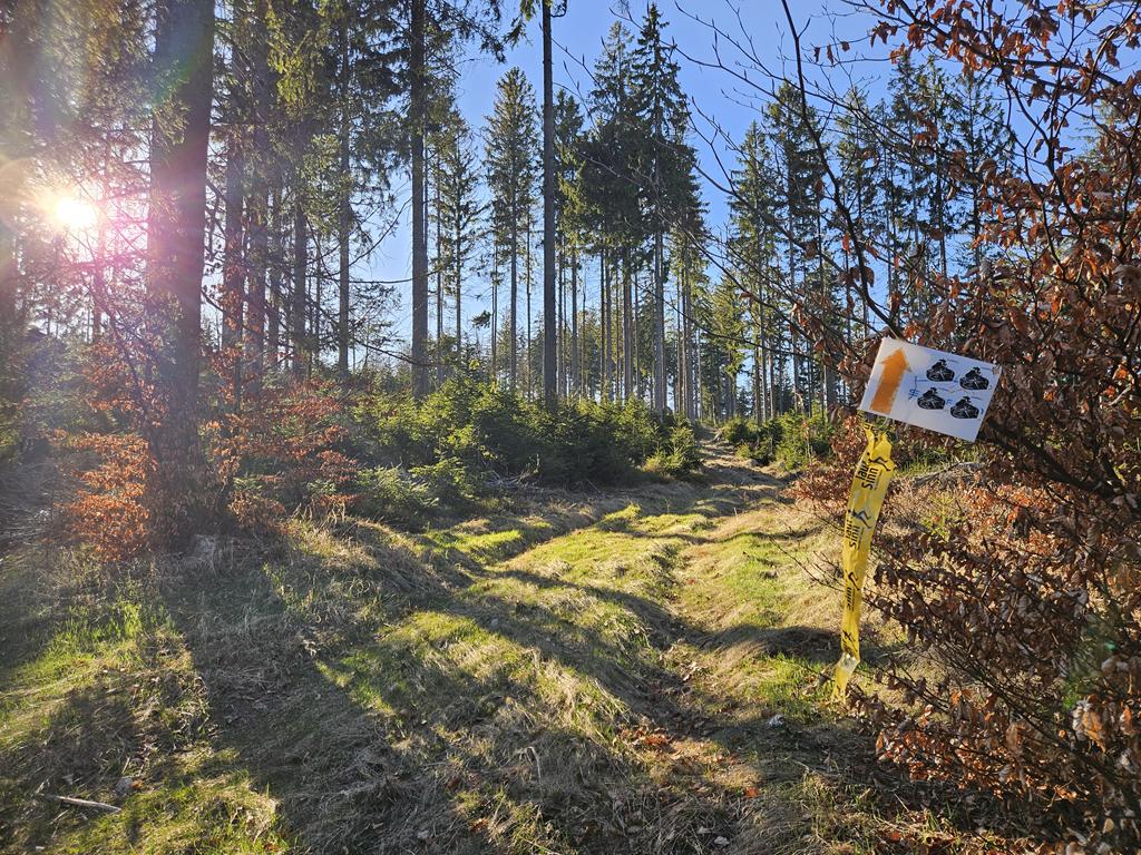 Rabaukentrail - Foto.: laufSinn