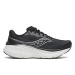 Black/Silver Guide19